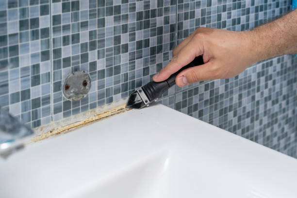 Best Commercial Mold Removal  in Springdale, NC