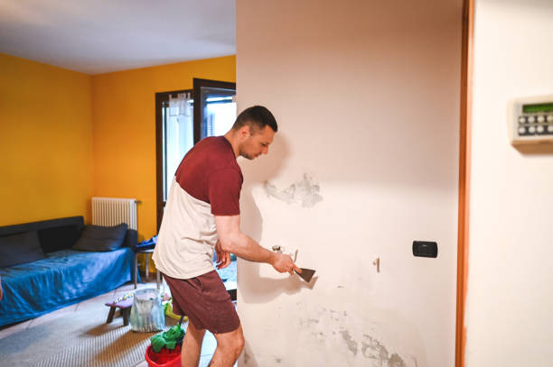 Best Toxic Mold Removal  in Springdale, NC